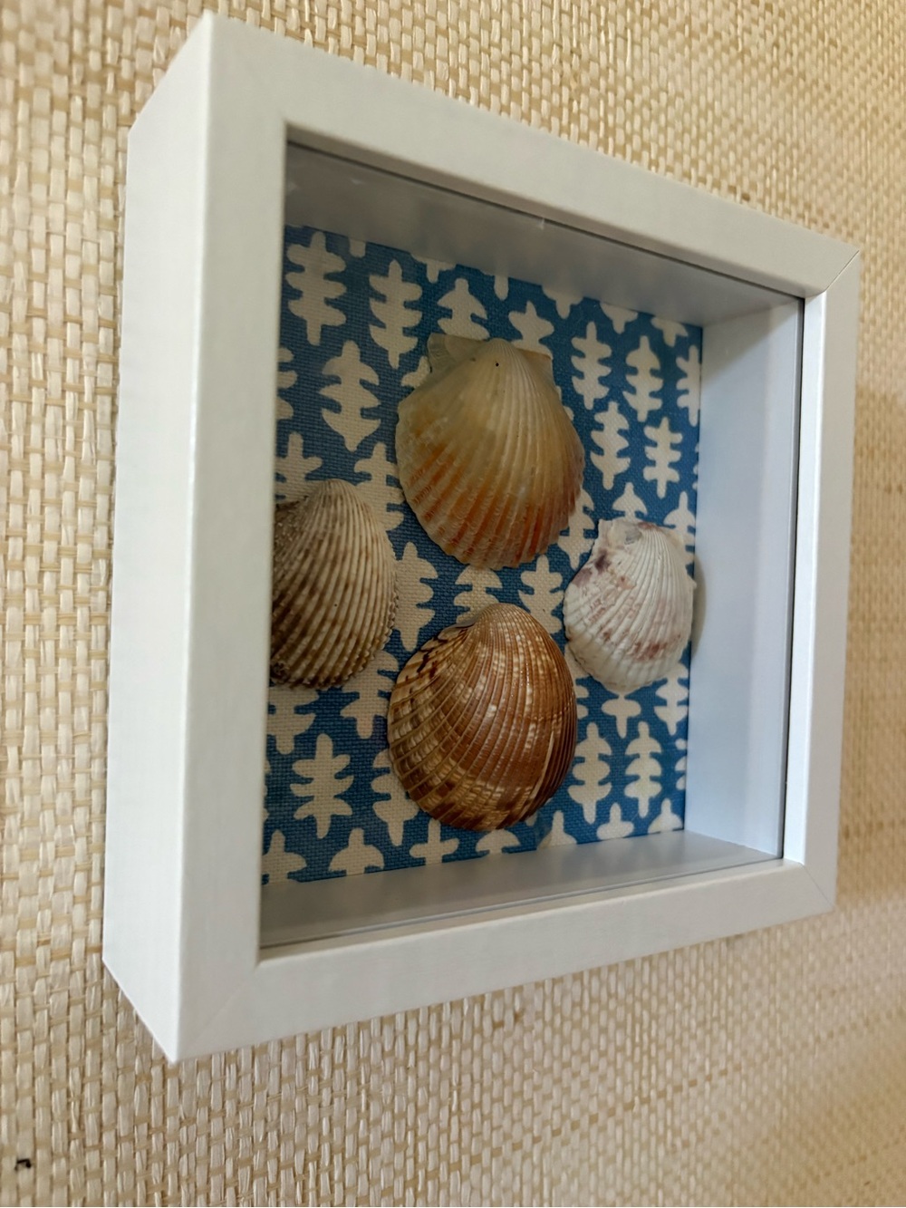 Coastal Shell Shadow Box - White Frame, Blue Backing 5x5